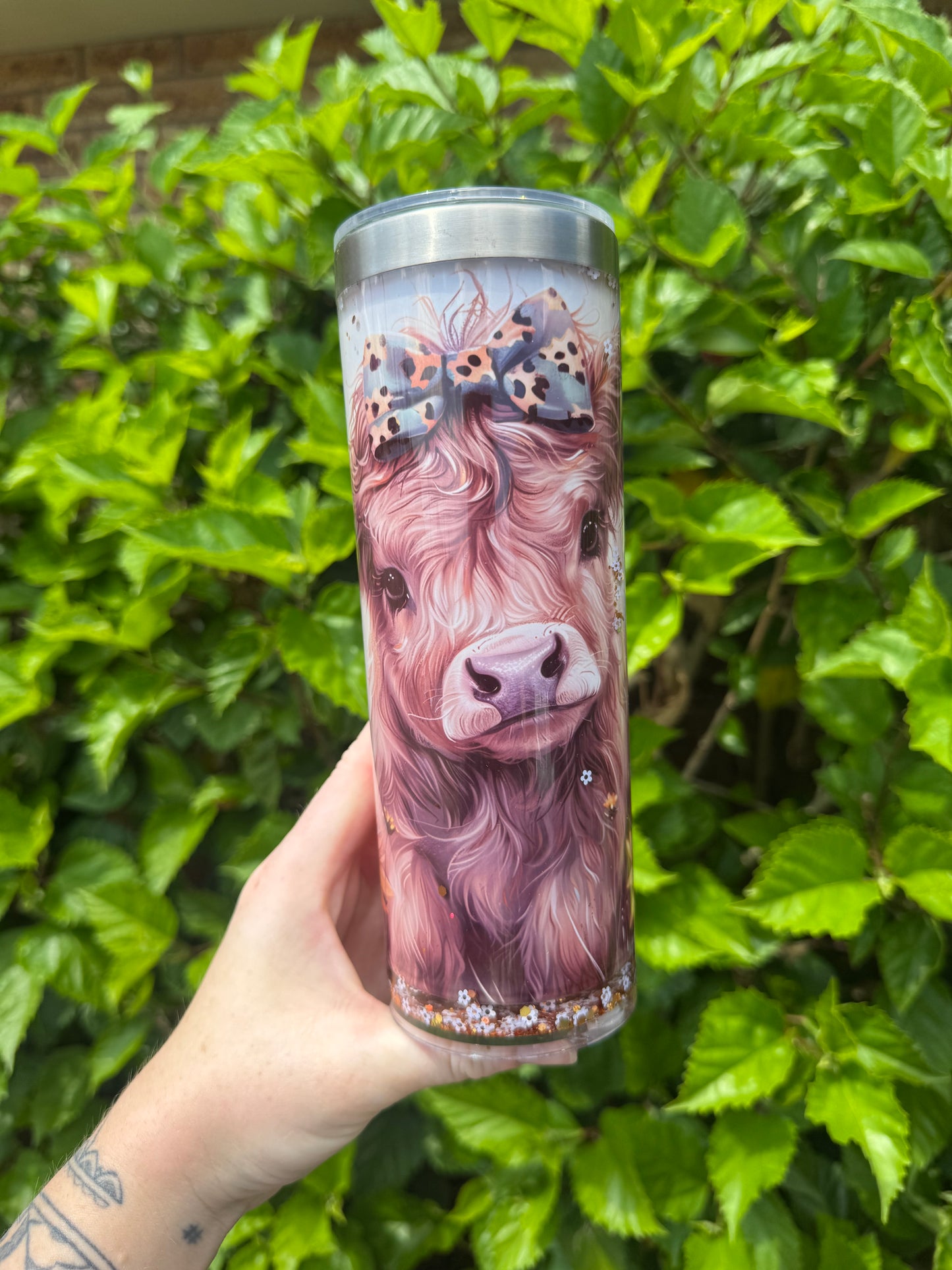 Cute cow