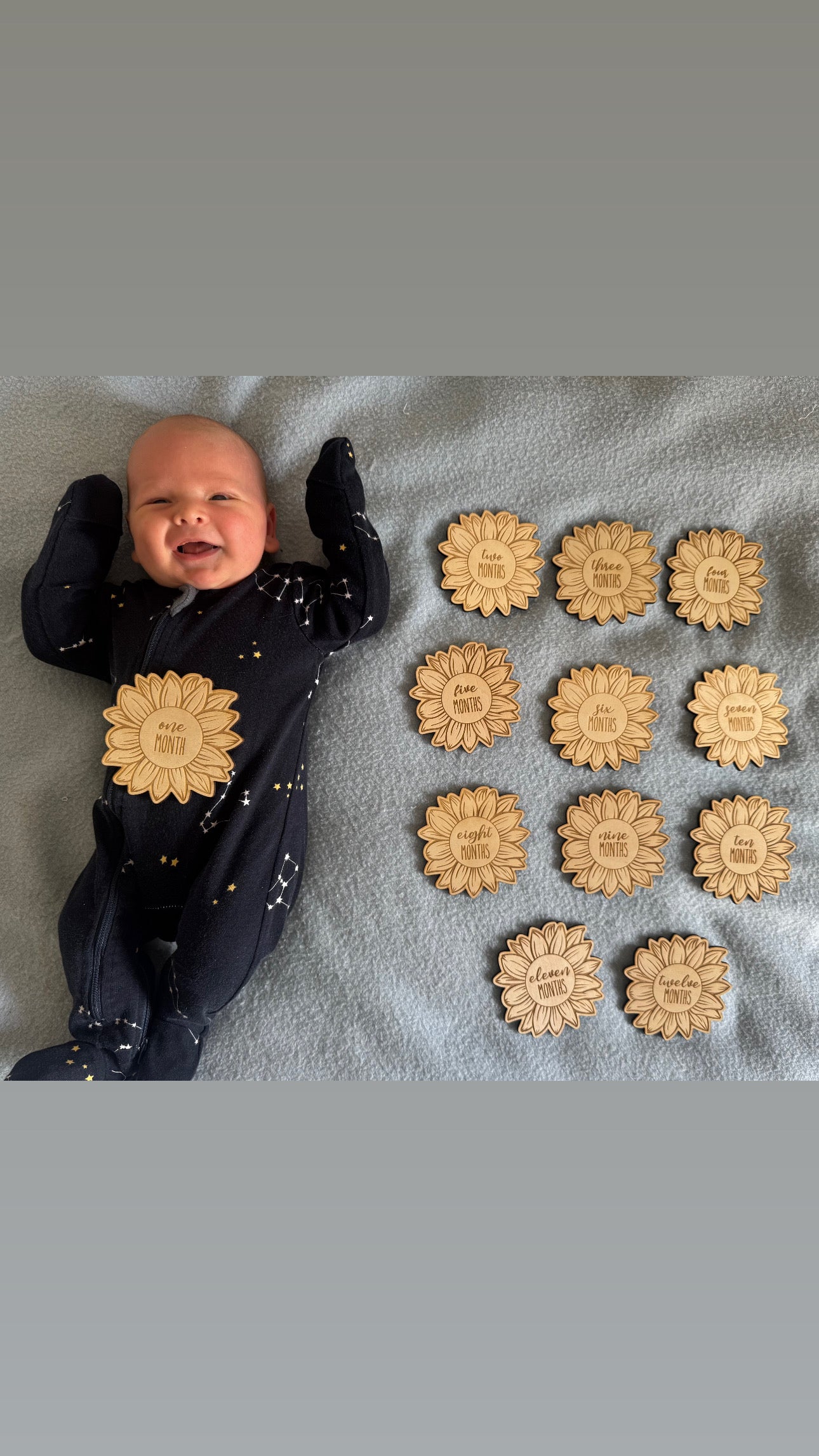 Sunflower monthly milestone discs