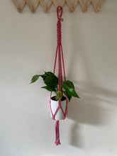 Load image into Gallery viewer, Hot pink single plant hanger
