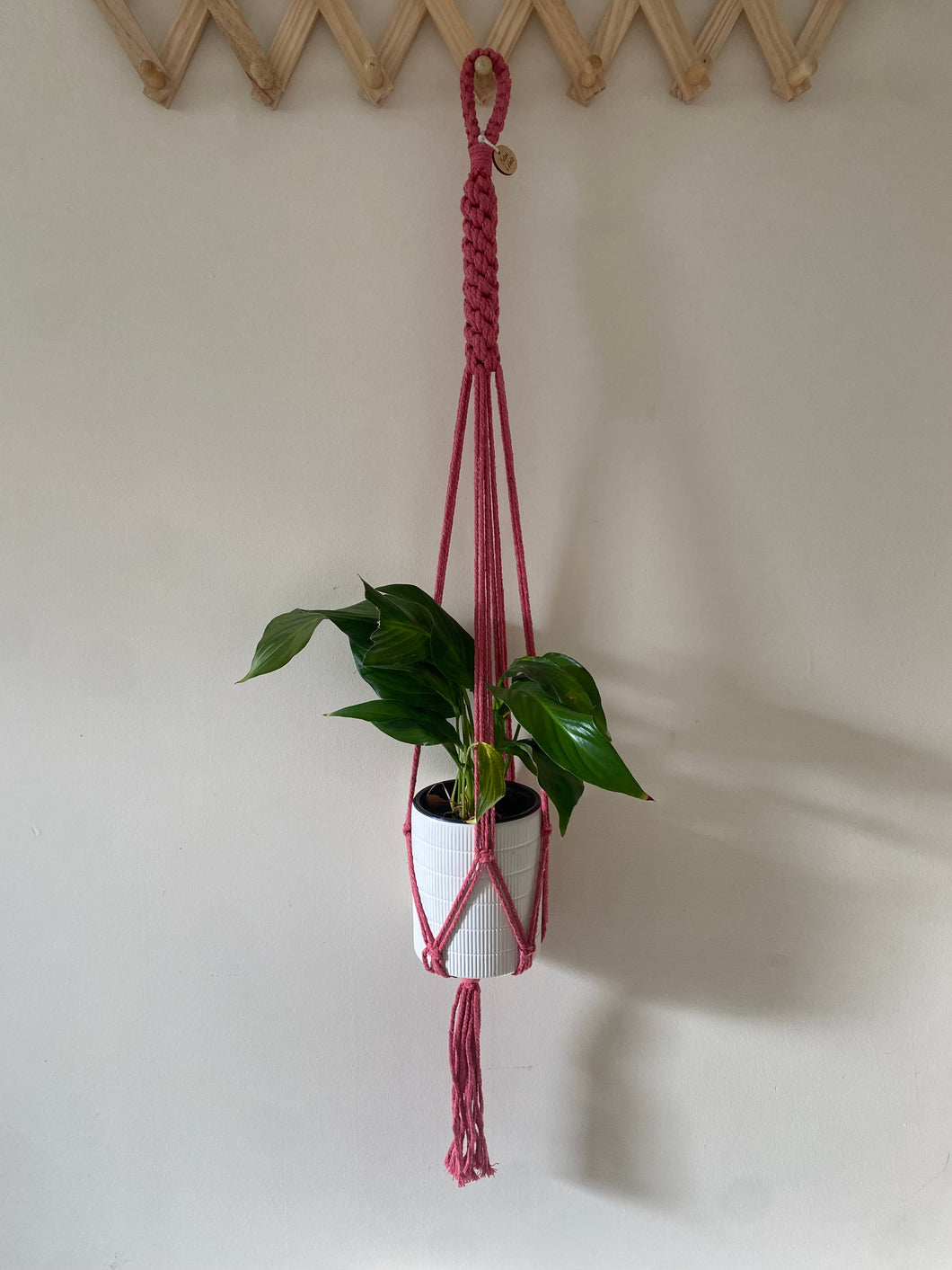Hot pink single plant hanger